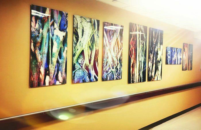 A hallway at Sylvester Cancer Center is filled on both sides of the long entrances into both the Breast Cancer and Crohns and Colitis departments with pieces by artist Tracy Ellyn from her award-winning series, "On the Undulation of Trees." Color, nature and organic imagery are sought-after qualities in healing venues. 