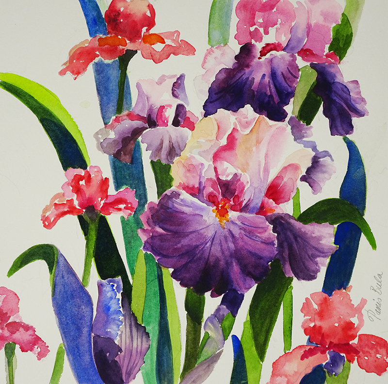 painting of purple Irises