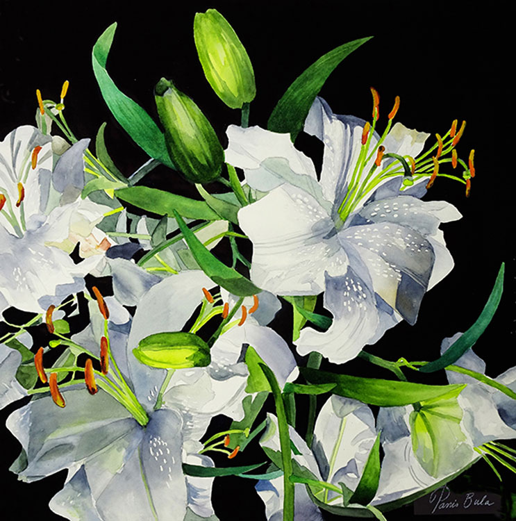 Lilies in Light, watercolor, 20x20 by Tanis Bula
