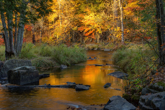 Autumn Leaves Reflections, photography, 40” x 60”