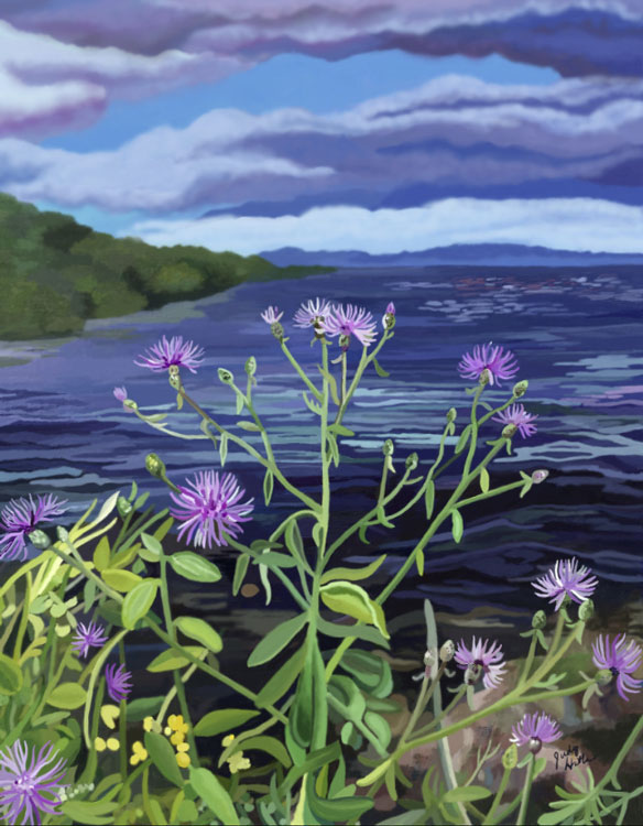 Spotted Knapweed on Lake Superior, acrylic on canvas, 16 x 20 by Judy Hatlen