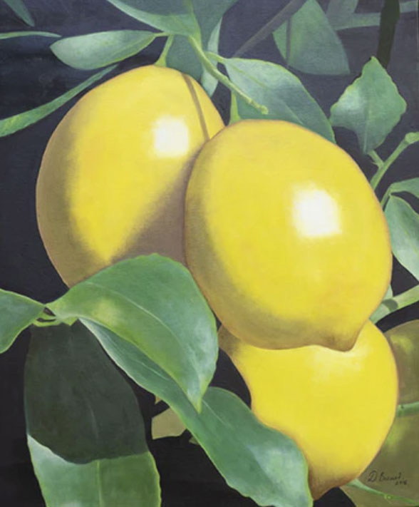 Lemons, oil painting, 24" x 20" x 7/8" by Debora Levy