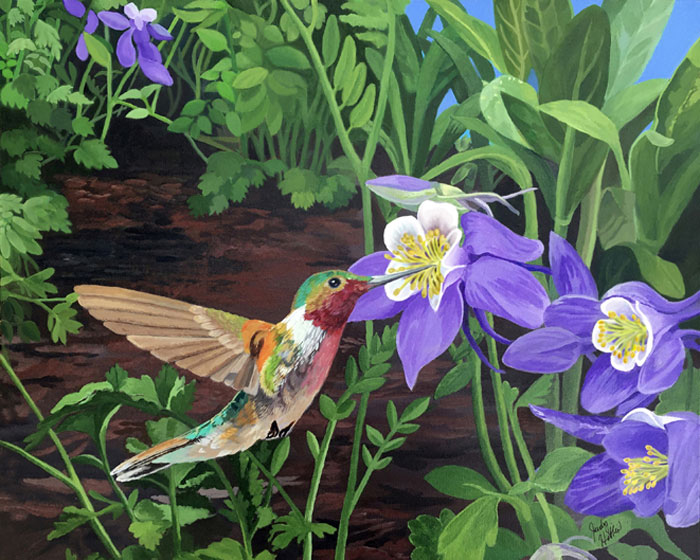 Hummingbird with Purple Columbines, acrylic on canvas, 20x16 by Judy Hatlen