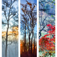 “Blues and Oranges”, Blue Fog, Last Leaves, and Dancing in the Light, digitally modified photographs, each 8.5″ x 35″.