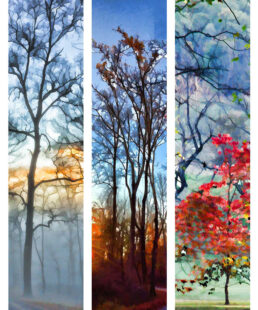 “Blues and Oranges”, Blue Fog, Last Leaves, and Dancing in the Light, digitally modified photographs, each 8.5″ x 35″.