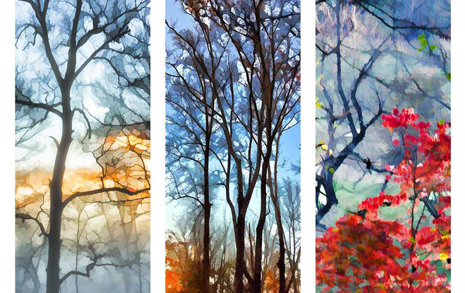 “Blues and Oranges”, Blue Fog, Last Leaves, and Dancing in the Light, digitally modified photographs, each 8.5″ x 35″.