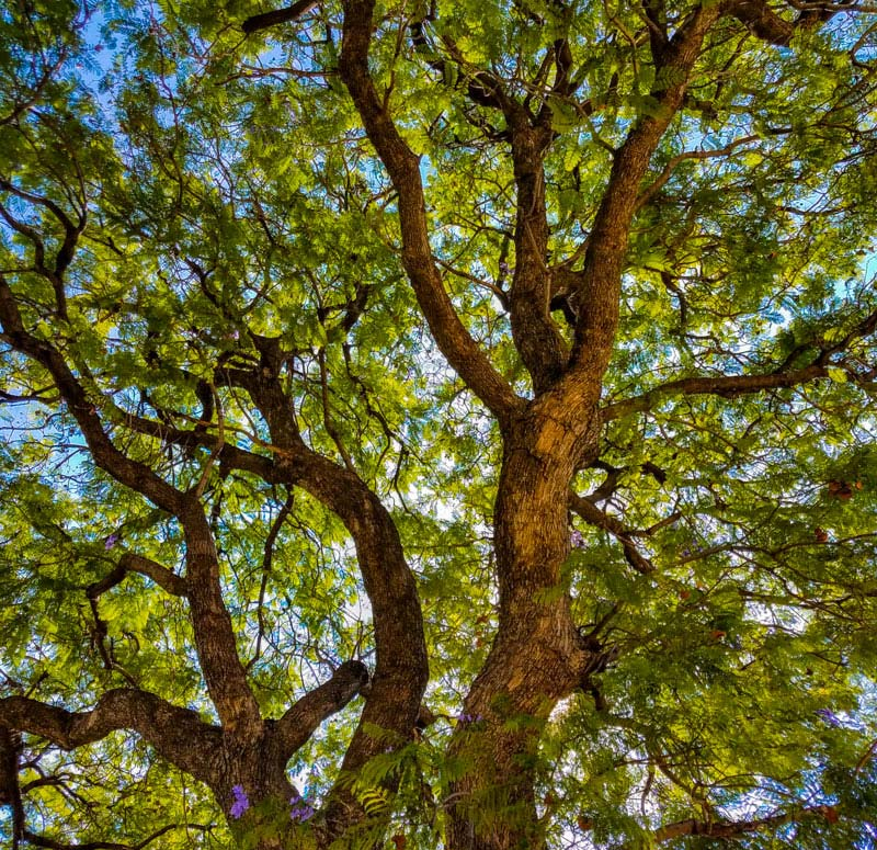 A Thing of Beauty, photography, available in various sizes