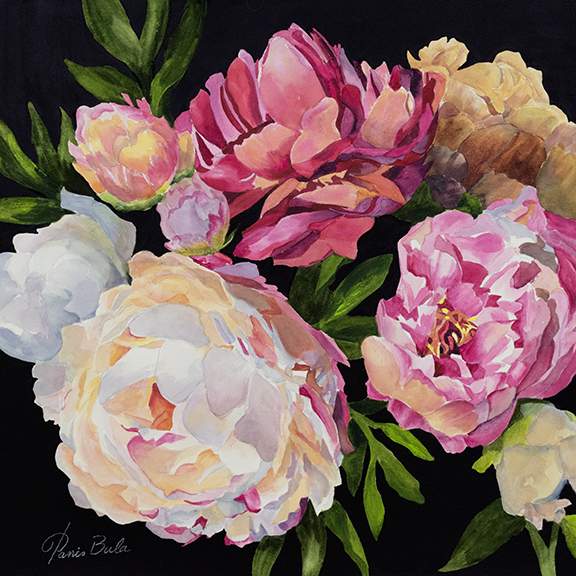 Magnificent Colorful Peonies ‐ Watercolor ‐ Paper ‐ 18 x 18