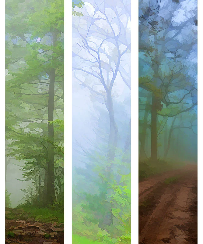 Foggy Scenes Grouping