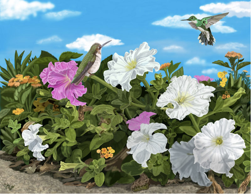 In the Embrace of Flowers: A Hummingbird's Journey