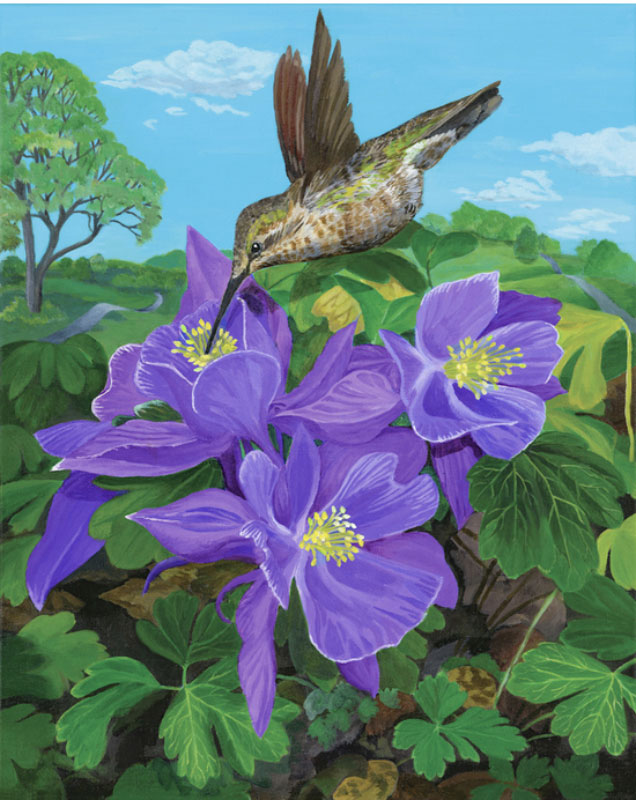 Moment of Serenity: A Hummingbird's Dance Among Columbines, acrylic on canvas, 16x20
