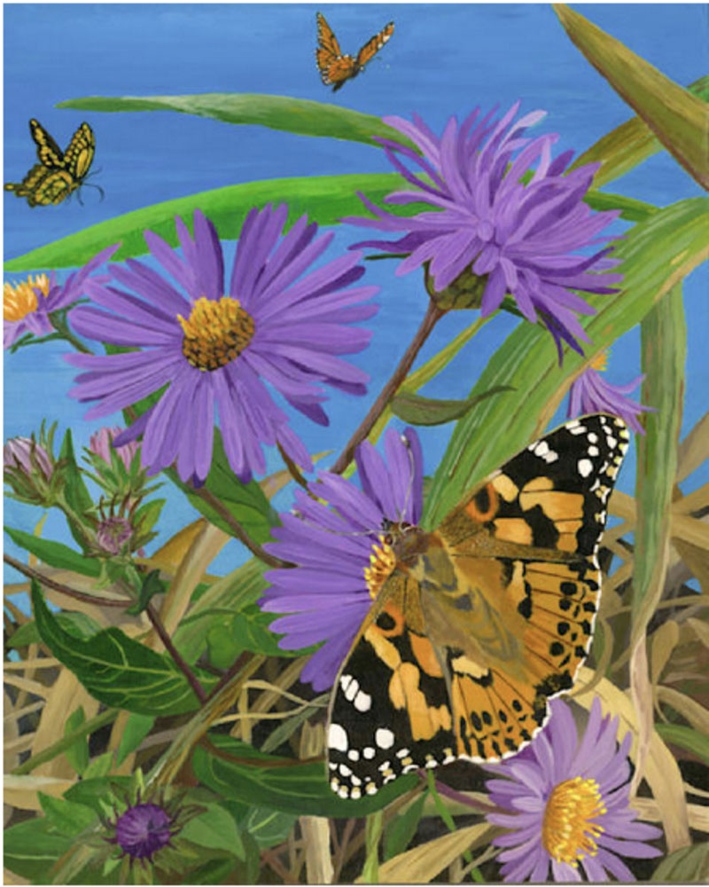 Nature's Dance, acrylic on canvas, 16" x 20"