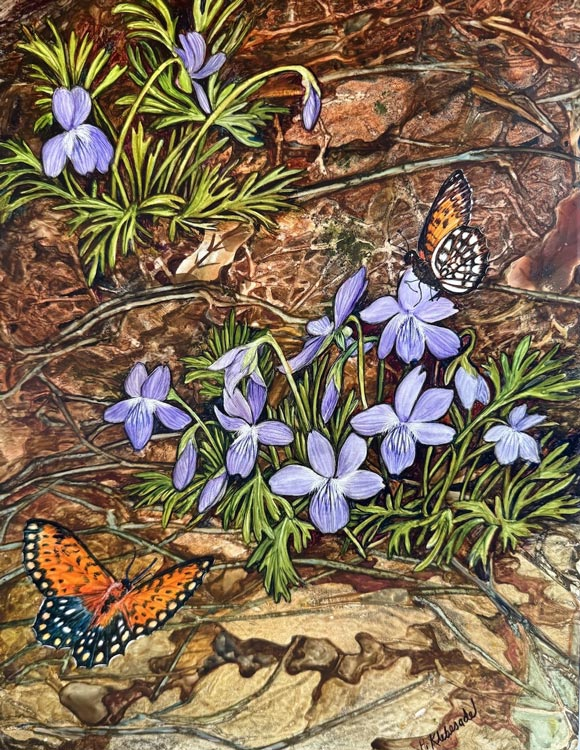 Spring Ephemerals: Prairie Violets and Royal Fritillary, watercolor on clayboard,14x11