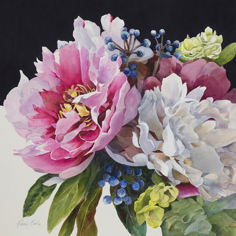 Two Peonies, watercolor 20" x 20"