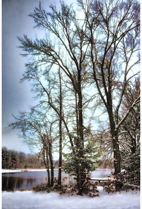 Lake Snow, Digitally manipulated Photography, 12" x 18"