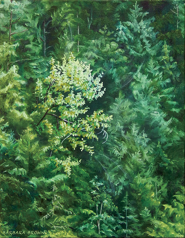 Cottonwood Spray, oil on canvas, 18" x 14"