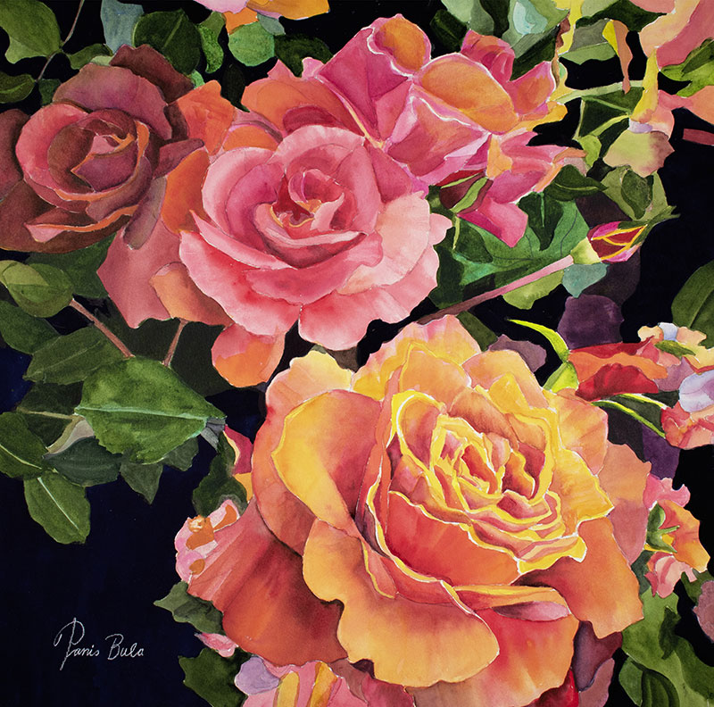 Four Roses, watercolor, 19x19