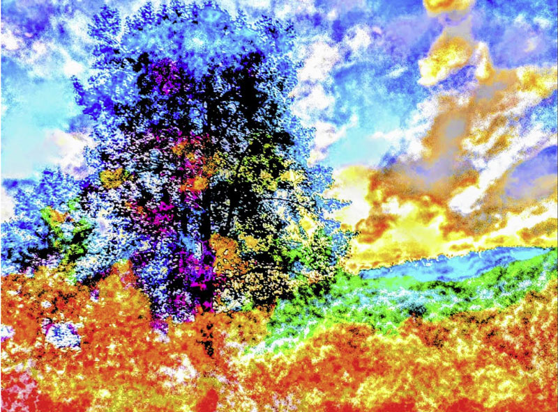 Angels of Orange, Eleanor's Dream series from my Healing Spirit Art© Collection.