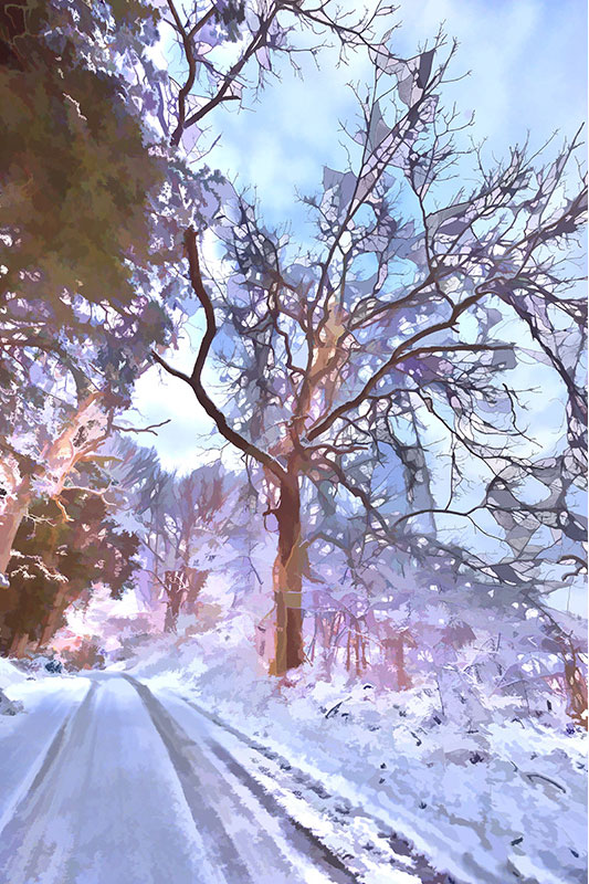 Winter Day, digital photography