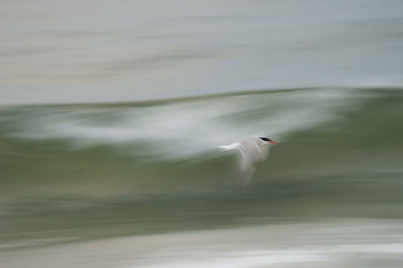 “Peaceful Passage”, photograph, can be printed in various sizes.