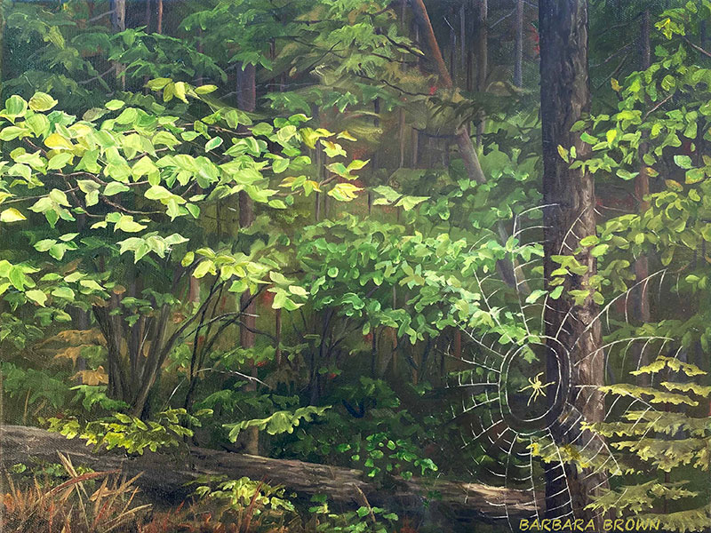 Spider Web, oil on canvas, 12" x 16"