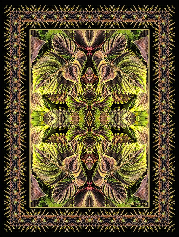Colorful Coleus, digital photography 43" x 57"