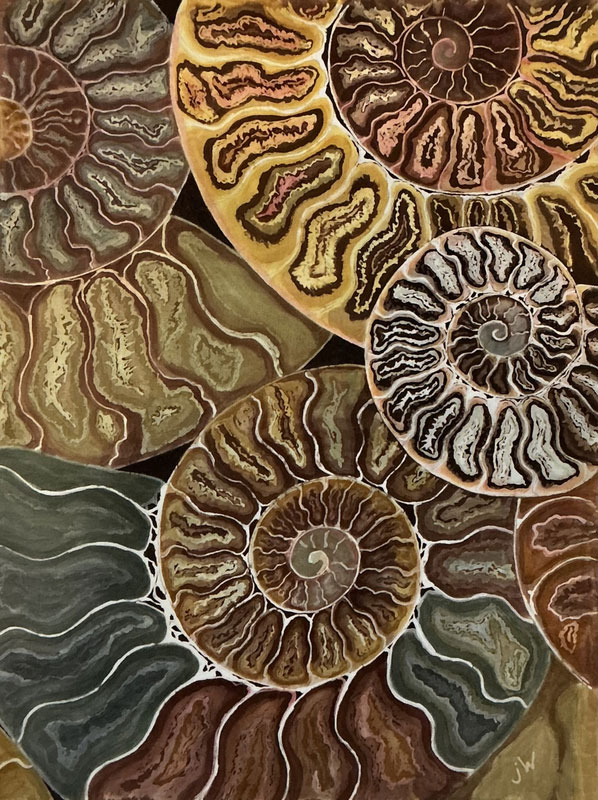 Ammonites, Batik on Cotton, 18”x24”