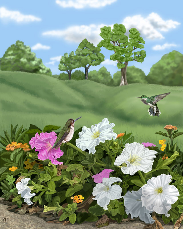 A Tranquil Haven - Where Hummingbirds Play, digital, various sizes available
