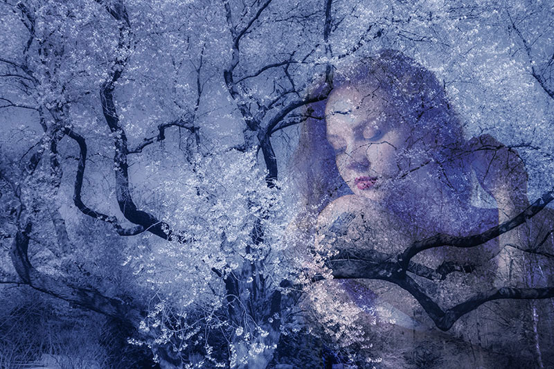 Dream Sanctuary, photography, available in different sizes