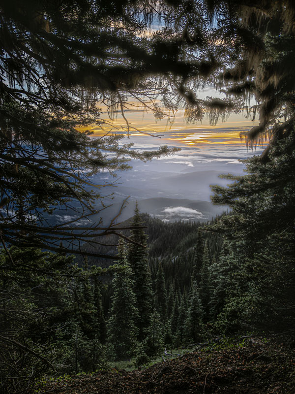 A View from Deer Park, photography, available in various sizes