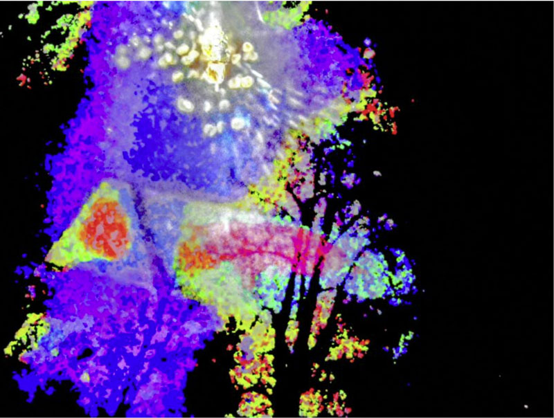 "Nantahala Sparkles" is from my “Eleanor’s Dream” series. The photographs I create at night are special communications, and many contain symbols to help us remember that which has been hidden in plain sight for a long time. The images that emerge from the darkness contain symbols of Love, messages of Hope. The Universe is speaking with us constantly. If we pay attention and are open to the signs and cues, then we can join in the conversation."