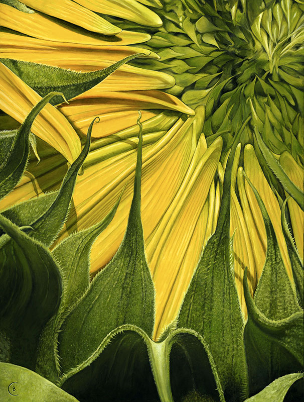 Sunflower Awakens ©, acrylic on canvas, 36” x 48” x 1.5”